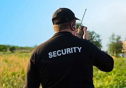 Pso (Personal Security Officer)